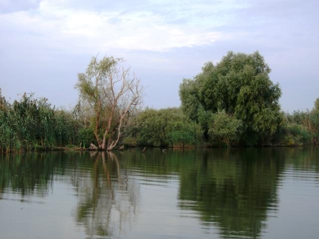 delta rosu 2012 - gedc0134.JPG